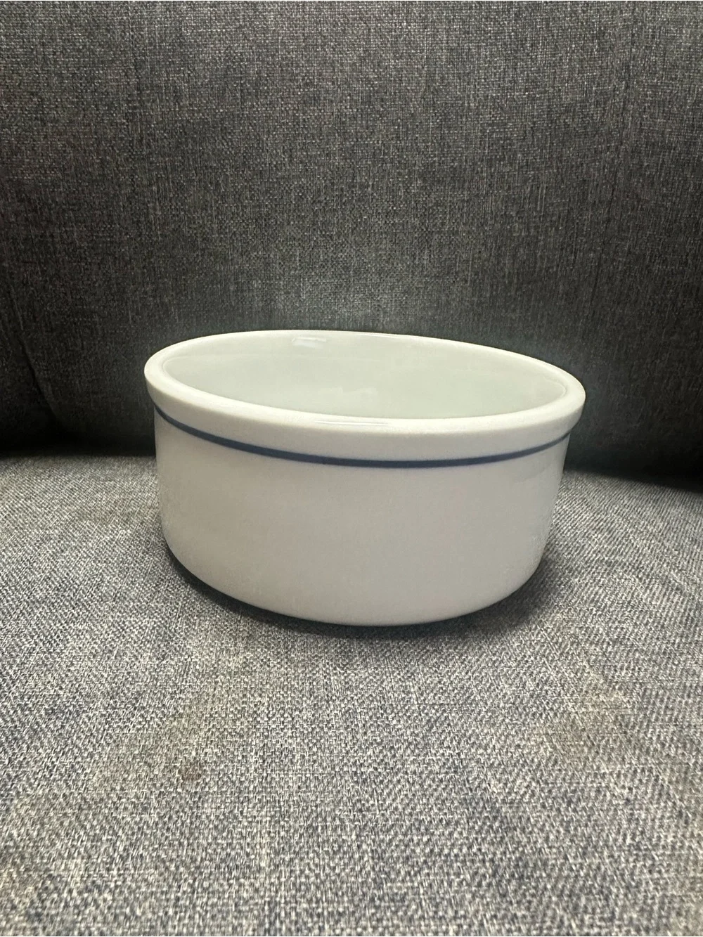 Vintage Ceramic H2O Dog Water Bowl